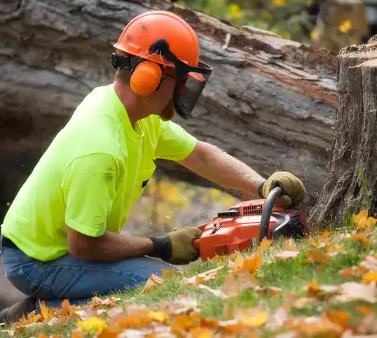 tree services North Haverhill